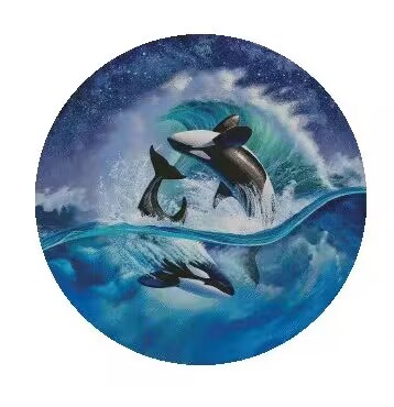 Mooie Naaien Walvissen kit 18C - Embroidery Whale recensie en prijs